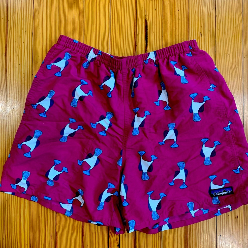 Patagonia Swim Trunks